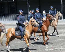 熊猫体育官方网站-夏洛特黄蜂训练开放日;集结日刷新队史纪录引欢呼;全明星赛在即;医务组通报恢复